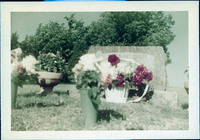 MHGS_Stewart_320.jpg