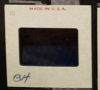 MHGS_Cotton_0605_slide.jpg