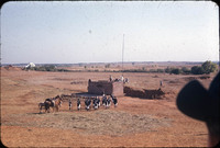 MHGS_Cotton_0603.jpg
