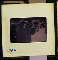 MHGS_Cotton_0978_slide.jpg
