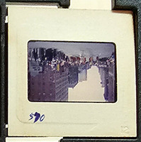 MHGS_Cotton_0986_slide.jpg