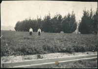 MHGS_Norman_A31b.jpg