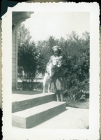 MHGS_Stewart_197.jpg