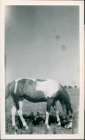 MHGS_Otto_0358.jpg