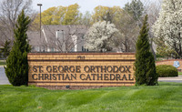 MHGS_Snapshot_001787.jpg