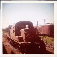 MHGS_Cotton_0280.jpg