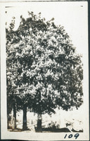 MHGS_Basore_Smith_Album1_09l.jpg