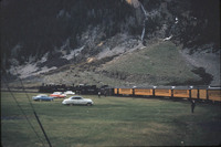 MHGS_Cotton_1161.jpg