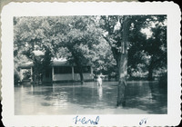 MHGS_Stewart_314.jpg