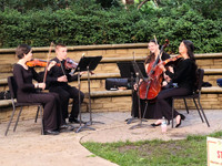 MHGS_Snapshot_004703.jpg