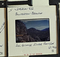 MHGS_Cotton_1192_slide.jpg