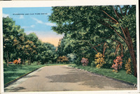 MHGS_Vert_0094.jpg