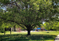MHGS_Snapshot_002441.jpg