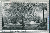 MHGS_Basore_Smith_AlbB_20b.jpg
