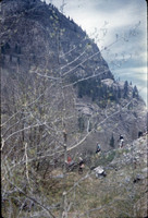 MHGS_Cotton_1203.jpg