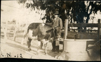 MHGS_Norman_A31g.jpg