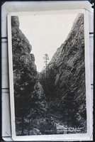 MHGS_Salmon_P11.jpg