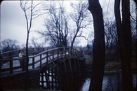 MHGS_Cotton_1047.jpg