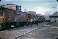 MHGS_Cotton_1138.jpg
