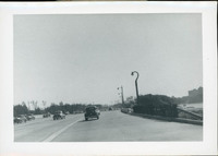 MHGS_Cotton_0118.jpg