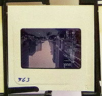 MHGS_Cotton_0979_slide.jpg