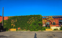 MHGS_Snapshot_004260.jpg