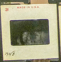 MHGS_Cotton_1047_slide.jpg