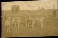 MHGS_Norman_A13e.jpg
