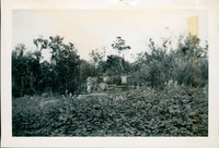 MHGS_Posey_028.jpg
