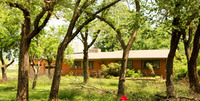 MHGS_Snapshot_000511.jpg