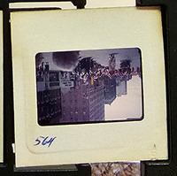MHGS_Cotton_0980_slide.jpg