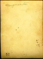 MHGS_Warner_0287_back.jpg