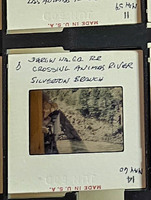 MHGS_Cotton_1194_slide.jpg