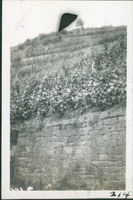 MHGS_Basore_Smith_AlbA_39g.jpg