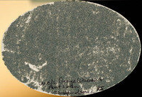 MHGS_Warner_0518_back.jpg