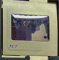 MHGS_Cotton_0983_slide.jpg