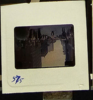 MHGS_Cotton_0991_slide.jpg