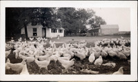 MHGS_Walton_Goldsmith_Al2_24c.jpg