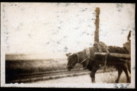 MHGS_Basore_Smith_AlbA_42p.jpg