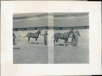 MHGS_Basore_Album_A_FP_40.jpg