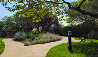 MHGS_Snapshot_005249.jpg