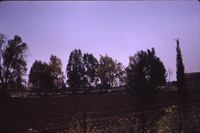 MHGS_Leach_1163.jpg