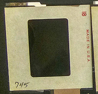 MHGS_Cotton_1044_slide.jpg