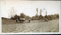 MHGS_Basore_Smith_AlbA_77c.jpg