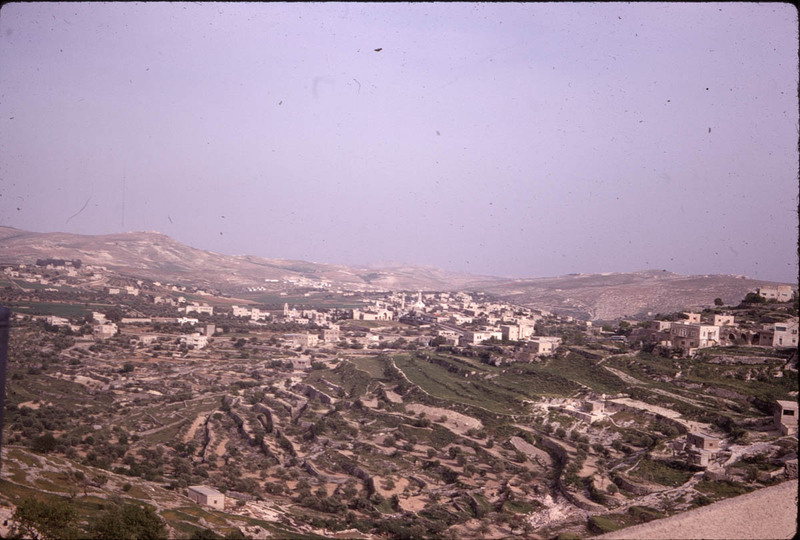 MHGS_Leach_1186.jpg