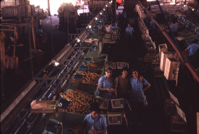 MHGS_Leach_1160.jpg