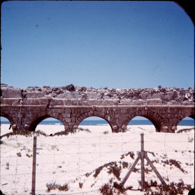 MHGS_Leach_1136.jpg