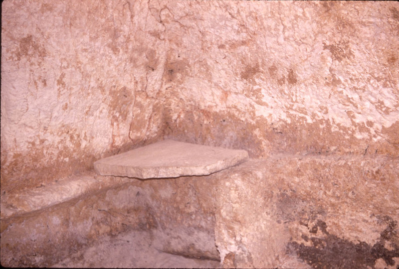 MHGS_Leach_1169.jpg