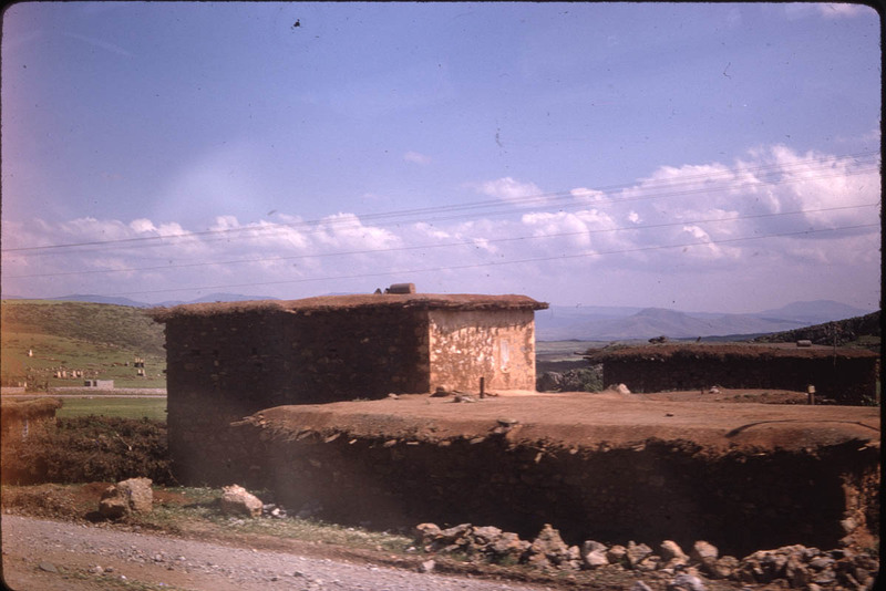 MHGS_Leach_1177.jpg