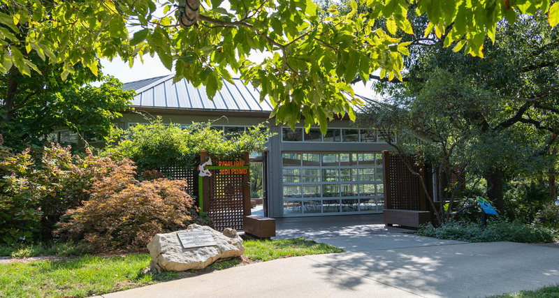 MHGS_Snapshot_002044.jpg